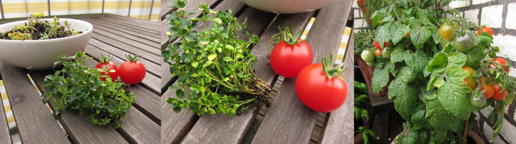 Tomaatjes van eigen balkon