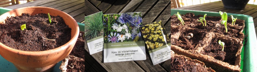 Stadslandbouw gestart!