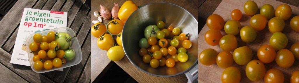Tomatenoogst voor een nieuwe lading ketchup!