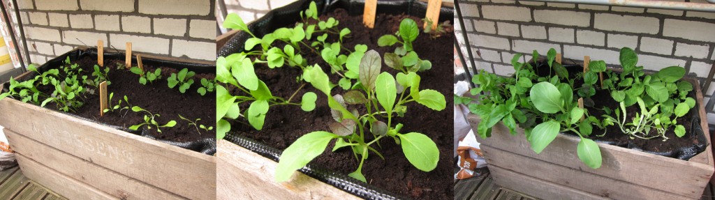 sla van eigen balkon