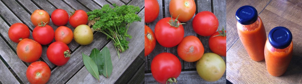 Zelfgemaakte tomaten met oogst van eigen balkon