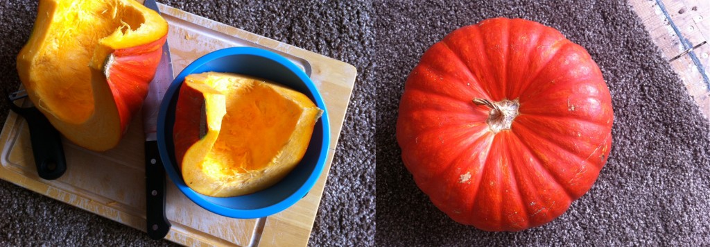 Pompoen van Franse bodem